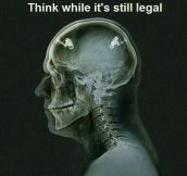 Think While You Still Can
