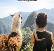 Admiring Machu Picchu