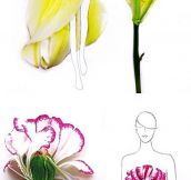 Fashion Illustrations With Real Flower Petals As Clothing