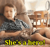 The Boy Saved From a Dog Attack Thanks His Cat