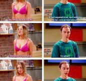 Typical Sheldon