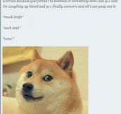 The Doge Trend