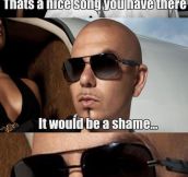 Every Pitbull Song Ever