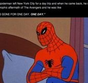 Spiderman Never Catches a Break