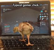 Just Another Gamer Chick