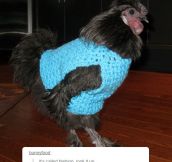 Fashion Chicken