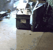 Bear Puts Back Dumpster After He Is Done With It