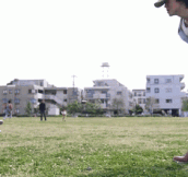 Playing Baseball With a Little Buddy