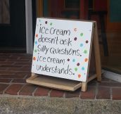 Ice Cream Will Never Judge You