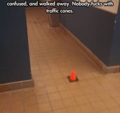 Nobody Messes With Traffic Cones