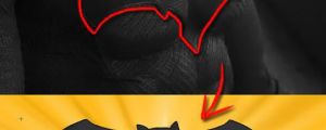 The New Batman Logo