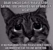 For All The Single Ladies