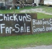 Kentucky Is a Special Place