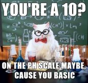 Science Cat Is Right And You Know It