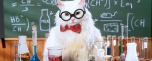 Science Cat Is Right And You Know It