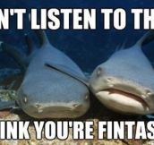 Shark Friendship