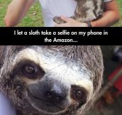 Sloth Selfie