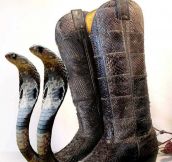 There Are Snakes In My Boots!