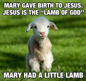 Lamb Self Realization