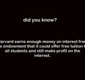 Harvard Profit
