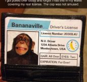 Bananaville’s Driver