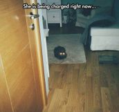 Always Remember To Charge Your Cat