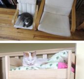 Cat Furniture