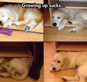 Growing Up Is Overrated