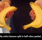 Literal Banana Split