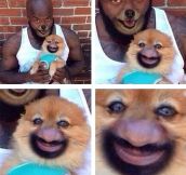 When Face Swaps Go Absolutely Wrong