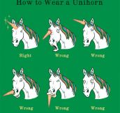 Wearing A Unihorn Properly