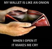 The Story Of My Wallet