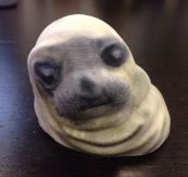 My Seal Of Approval