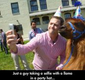 The Llama Was The Soul Of The Party