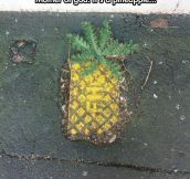 Urban Pineapple
