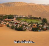 A Real Oasis