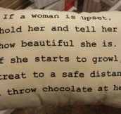 Homegoods Pillow On Comforting Women