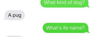25 More Texts From Dogs… You won’t be disappointed