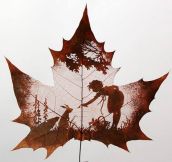 Amazing Leaf Art
