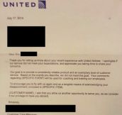 United Airlines writes the most sentimental apology letters.