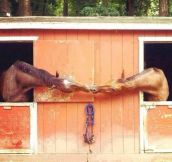 A Stable Relationship