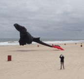 Awesome Toothless Kite On The Beach