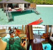 Water Bungalows With Glass Floor In Maldives