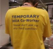 Temporary IKEA Workers