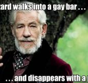 A Gay Wizard