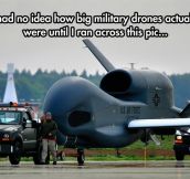 Military Drones’ Real Size