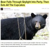 That’s My Kind Of Bear