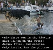 Only Anselmo Has The Picture