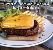 Burger Du Fromage