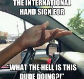 International Hand Sign